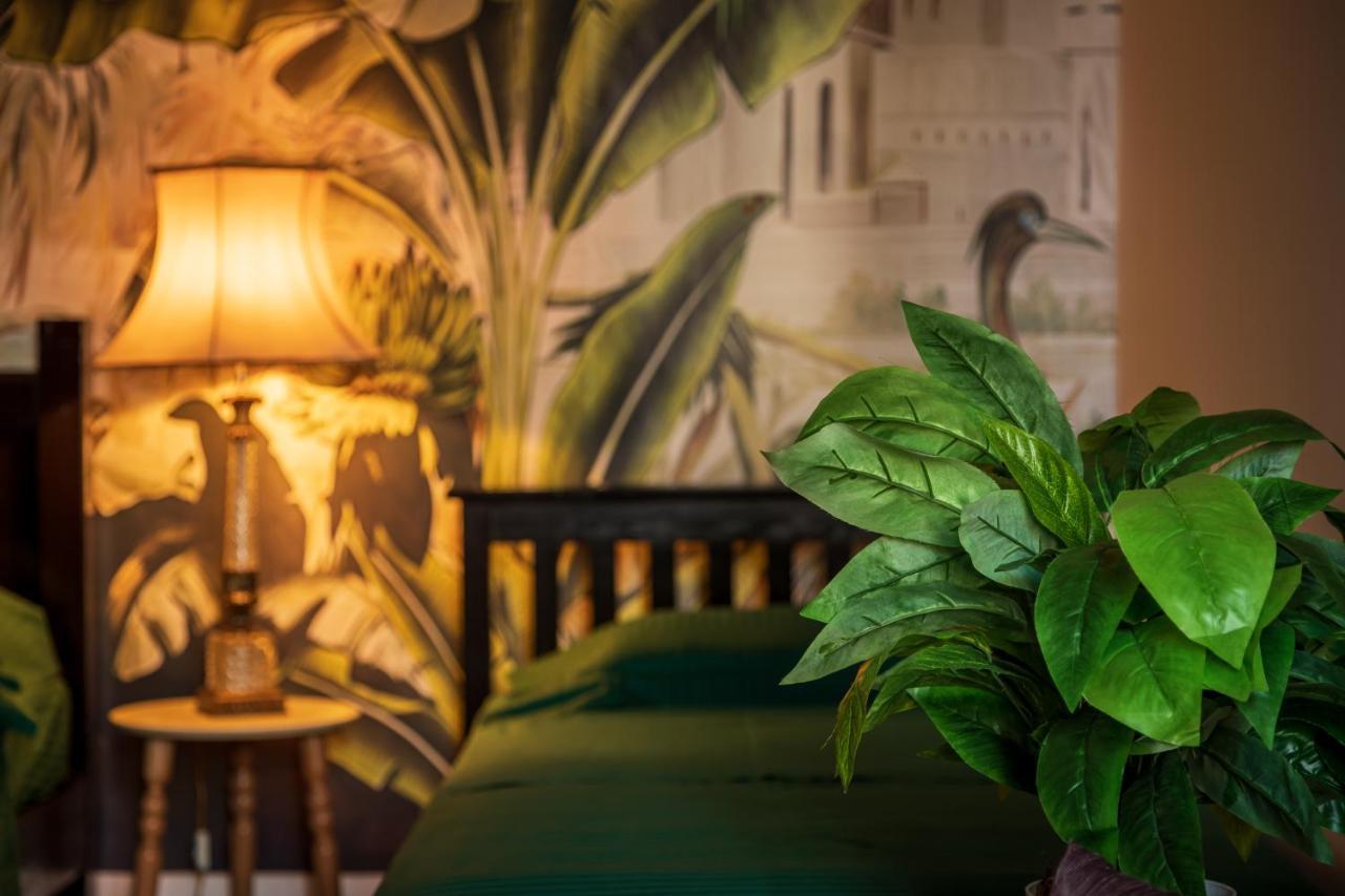 The Tropical House Tirana Apartman Kültér fotó